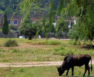 五蓋山狩獵場 五蓋山狩獵場