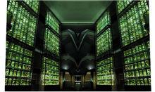 嶺南中草藥液浸標本牆