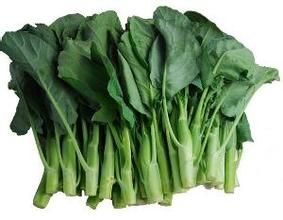 柯子嶺早芥藍 柯子嶺早芥藍