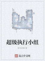 超級執行小組 超級執行小組