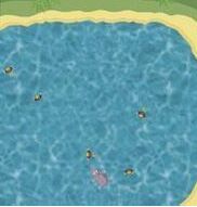 河馬救生員 河馬救生員