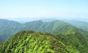 木林子自然保護區 木林子自然保護區