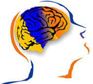 癲癇生物電貫通療法 癲癇生物電貫通療法