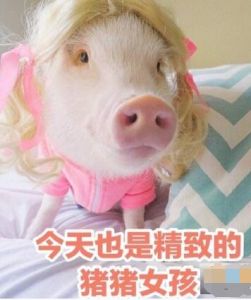 豬豬女孩