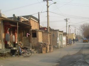 大柳樹村 大柳樹村