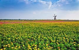 牛角大圩 牛角大圩