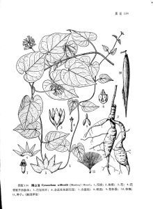 隔山消組 隔山消組