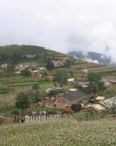 法車新寨村 法車新寨村