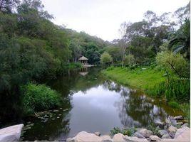 廈門大學情人谷 廈門大學情人谷