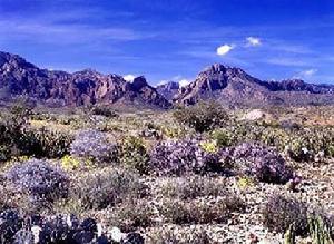 美國大轉彎國家公園 美國大轉彎國家公園