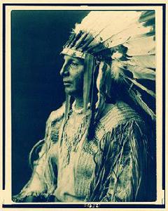 印第安[美洲大陸最古老的居民]