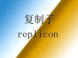 複製子 複製子
