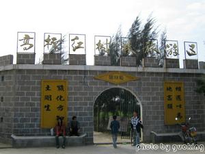 紅林閣_高橋紅樹林保護區