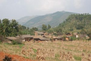 旱稻地村 旱稻地村