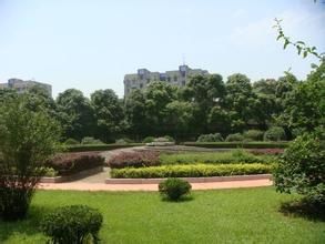 長沙紫鳳園 長沙紫鳳園