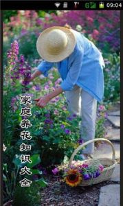 養花知識大全 養花知識大全