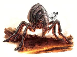 嗜熱生物 嗜熱生物