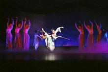 舞劇《紅樓夢》劇照