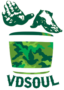 VDSOUL