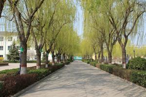 石家莊華美中等專業學校