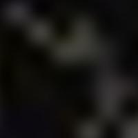 HR 5440 RASS 彩色圖