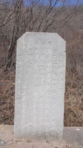 大清溝戰鬥 大清溝戰鬥