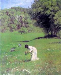 在森林的草地上 在森林的草地上