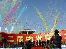 迪溝鎮第十二屆物資交流大會