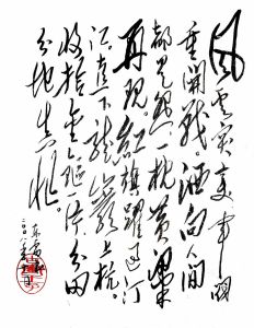 蔣桂戰爭 蔣桂戰爭