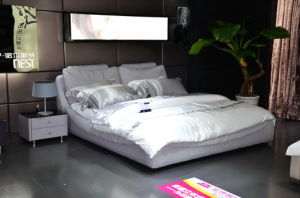 艾伊·諾爾斯特 艾伊·諾爾斯特