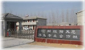 徐州勝陽天恩養兔專業合作社 徐州勝陽天恩養兔專業合作社