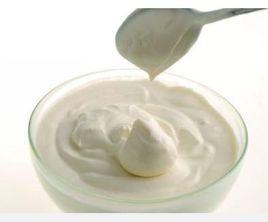 新疆優酪乳 新疆優酪乳