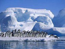 開封東京極地海洋館