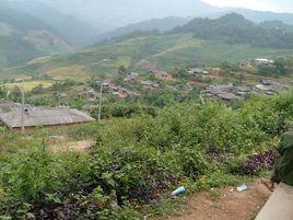 張坊村[江西撫州市東鄉縣孝崗鎮下轄村]