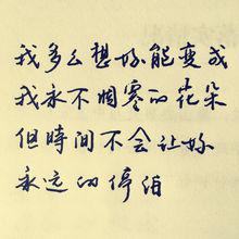 朵[趙雷演唱歌曲]