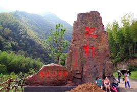 芝林古道 芝林古道