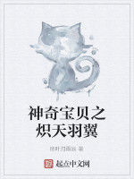 神奇寶貝之熾天羽翼 神奇寶貝之熾天羽翼