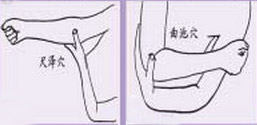（圖）尺澤穴與曲池穴的對比