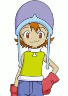 八神太一[日本動畫《數碼獸大冒險》角色]