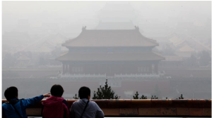 洗肺之旅 洗肺之旅