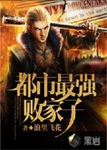 都市最強敗家子 都市最強敗家子