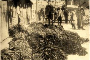 19世紀末來朝鮮收購土特產的美國人