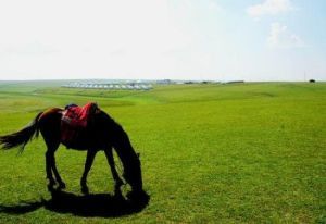 包頭新世紀青年生態園 包頭新世紀青年生態園