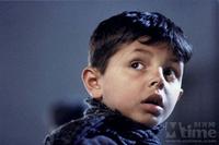 布麗吉特&middot;佛西