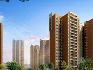 錦湖金利花園 錦湖金利花園