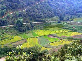 下寨村[華寧縣盤溪鎮磨沙塘村民委員會下轄村]