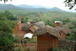 拖姑村[雲南省曲靖會澤縣金鐘鎮拖姑村委會]