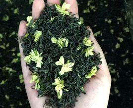 犍為茉莉花茶 犍為茉莉花茶