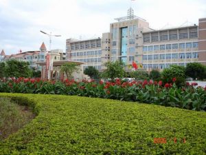 東莞市清溪晨光學校 東莞市清溪晨光學校