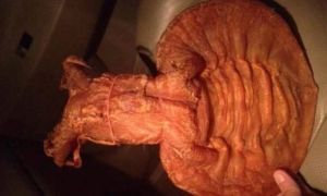 黃唇魚膠 黃唇魚膠